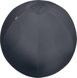 Minge de Birou Ergonomica cu Functie Anti-Roll Leitz Ergo Active ,   O 75 cm, Husa Textila, Gri Inch
