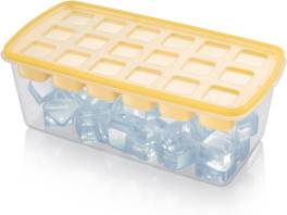 Tava Cuburi de Gheata cu Recipient Tescoma myDRINK